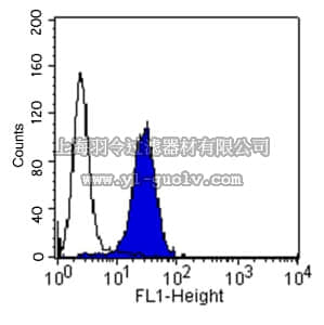 merck millipore,默克密理博,MAB1998Z,Anti-Integrin α2β1 Antibody, clone BHA2.1, azide free