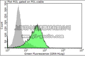 merck millipore,默克密理博,MAB2056Z,Anti-Integrin α3 Antibody, clone ASC-1 (Azide Free)