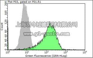 merck millipore,默克密理博,MAB2059,Anti-Integrin β4 Antibody, clone ASC-8