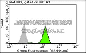 merck millipore,默克密理博,MAB2238,Anti-Rapsyn Antibody, clone1234