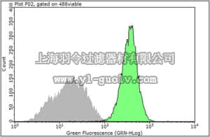 merck millipore,默克密理博,MAB2247-I,Anti-Integrin β1 Antibody, clone 12G10