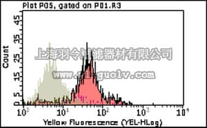 merck millipore,默克密理博,MAB2627,Anti-VCAM-1 (CD106) Antibody, clone 6C7.1