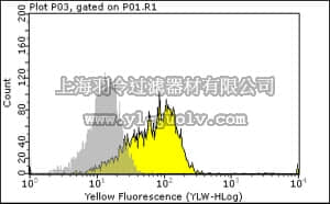 merck millipore,默克密理博,MAB3061,Anti-Fas Antibody, clone SM1/1