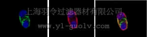 merck millipore,默克密理博,MAB312,Anti-A2B5 Antibody, clone A2B5-105