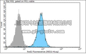 merck millipore,默克密理博,MAB3199Z-C,Anti-E-Cadherin Antibody, clone 67A4, Azide & Ascites Free