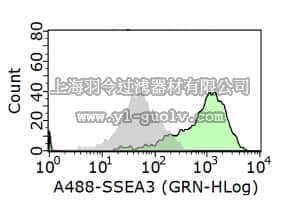 merck millipore,默克密理博,MAB4303,Anti-Stage-Specific Embryonic Antigen-3 Antibody, clone MC-631
