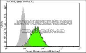 merck millipore,默克密理博,MAB4349,Anti-TRA-2-49 Antibody, Liver/Bone/Kidney Alkaline Phosphatase, clone TRA-2-49/6E