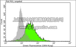 merck millipore,默克密理博,MAB4354,Anti-TRA-2-54 Antibody, Liver/Bone/Kidney Alkaline Phosphatase, clone TRA-2-54/2J