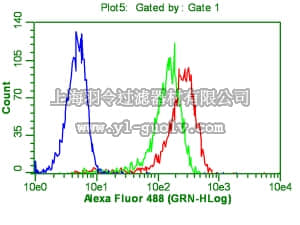 merck millipore,默克密理博,MAB4419,Anti-OCT-4 [POU5F1] Antibody, clone 7F9.2