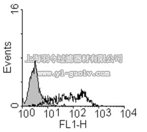 merck millipore,默克密理博,MAB4444,Anti-Epithelial Cell Adhesion Molecule (EpCAM) Antibody, clone 8