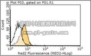 merck millipore,默克密理博,MABC13,Anti-TRAIL-R2 (CD262) Antibody, clone MD5-1