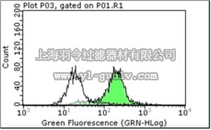 merck millipore,默克密理博,MABC205,Anti-Cyclin A2 Antibody, clone 17B8.2