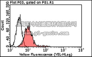 merck millipore,默克密理博,MABC24,Anti-LAMP-2 Antibody, clone M3/84