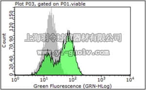 merck millipore,默克密理博,MABC291,Anti-PSMA Antibody, clone 3/A12