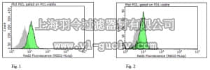 merck millipore,默克密理博,MABC293,Anti-NLRP10 Antibody, clone 8H2