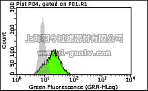 merck millipore,默克密理博,MABC32,Anti-p62 (Sequestosome-1) Antibody, clone 11C9.2