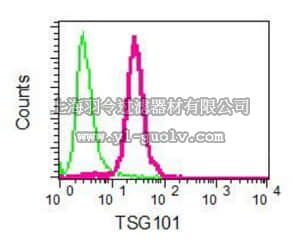 merck millipore,默克密理博,MABC649,Anti-TSG101 Antibody, clone EPR7130(B), rabbit monoclonal