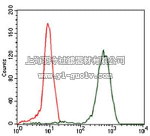 merck millipore,默克密理博,MABC666,Anti-EIF4B Antibody, clone 1F5