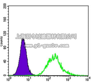 merck millipore,默克密理博,MABC682,Anti-MATK Antibody, clone 9D7