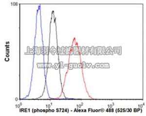 merck millipore,默克密理博,MABC742,Anti-phospho-IRE1 (Ser724), clone EPR5253, Rabbit Monoclonal Antibody