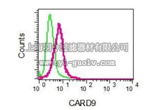 merck millipore,默克密理博,MABC746,Anti-CARD9, clone EPR6489, Rabbit Monoclonal Antibody