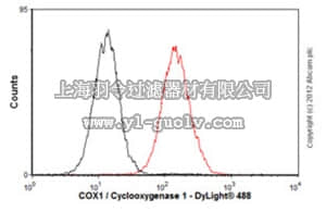 merck millipore,默克密理博,MABC757,Anti-COX-1 , clone EPR5866, Rabbit Monoclonal Antibody