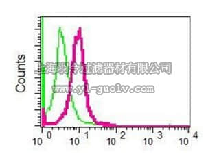 merck millipore,默克密理博,MABC771,Anti-SPHK1, clone EPR4293(2), Rabbit Monoclonal Antibody