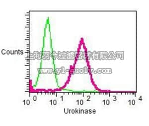 merck millipore,默克密理博,MABC775,Anti-PLAU, clone EPR6273, Rabbit Monoclonal Antibody