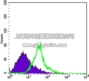 merck millipore,默克密理博,MABD168,Anti-WNT1 Antibody, clone 10C8