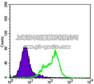 merck millipore,默克密理博,MABD172,Anti-THAP11 Antibody, clone 3F3