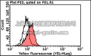 merck millipore,默克密理博,MABD22,Anti-MSX2 Antibody, clone 7D11.1