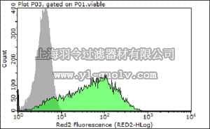 merck millipore,默克密理博,MABD86,Anti-CD349/Frizzled 9 Antibody, clone W3C4