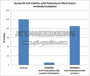 merck millipore,默克密理博,MABD89,Anti-Podocalyxin-like protein I (Cytotoxic) Antibody, clone mAb 84