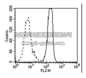 merck millipore,默克密理博,MABE148,Anti-HMGB1 Antibody, clone HMG1-5H6