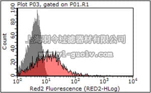 merck millipore,默克密理博,MABE320,Anti-c-ErbB2/c-Neu (Ab-5) Antibody, clone TA-1