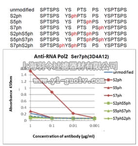 merck millipore,默克密理博,MABE955,Anti-phospho RNA Pol II (Ser7), clone 3D4A12 Antibody