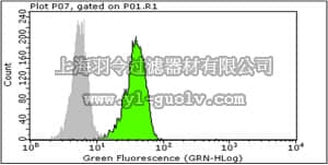 merck millipore,默克密理博,MABF118,Anti-sTRAIL Antibody, clone III6F
