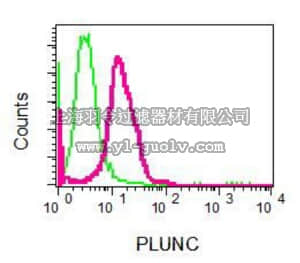 merck millipore,默克密理博,MABF200,Anti-PLUNC, clone EPR8381, Rabbit Monoclonal Antibody