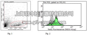 merck millipore,默克密理博,MABF249,Anti-Tapasin Antibody, clone 7F6