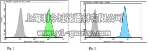 merck millipore,默克密理博,MABF260,Anti-NLRC5 Antibody, clone 3H8