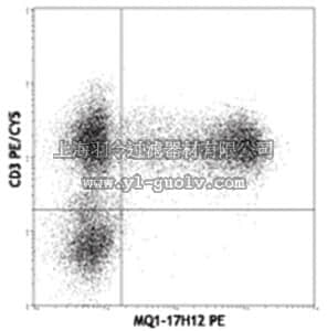 merck millipore,默克密理博,MABF335,Anti-IL-2 (human) Antibody, PE, clone MQ1-17H12