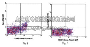 merck millipore,默克密理博,MABF347,Anti-LAP (TGF-β1) (human) Antibody, FITC, clone TW4-2F8