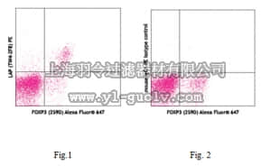 merck millipore,默克密理博,MABF348,Anti-TGF-β1 (human) Antibody, PE, clone TW4-2F8