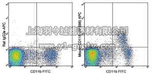 merck millipore,默克密理博,MABF506,Anti-CD115 (c-fms) Antibody (mouse), APC, clone AFS98