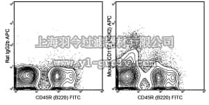 merck millipore,默克密理博,MABF510,Anti-CD117 (c-Kit) Antibody (mouse), APC, clone ACK2