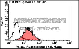 merck millipore,默克密理博,MABF62,Anti-Tim3 Antibody, clone 2E2