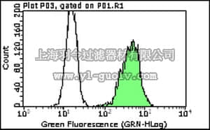 merck millipore,默克密理博,MABF72,Anti-TLR3 Antibody, clone 2B11.2