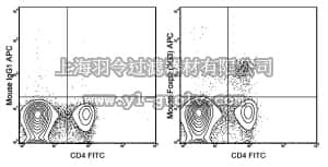 merck millipore,默克密理博,MABF730,Anti-Foxp3 Antibody (mouse), APC, clone 3G3