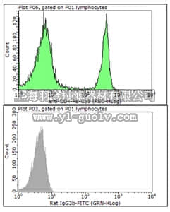 merck millipore,默克密理博,MABF743,Anti-CD4 Antibody (mouse), PE-Cy5, clone GK1.5