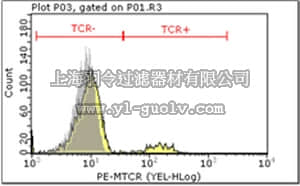 merck millipore,默克密理博,MABF95,Anti-murine T cell receptor Vbeta 8.1 and 8.2 Antibody, clone KJ16-133